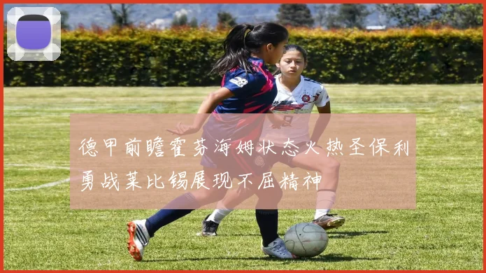 德甲前瞻霍芬海姆状态火热圣保利勇战莱比锡展现不屈精神